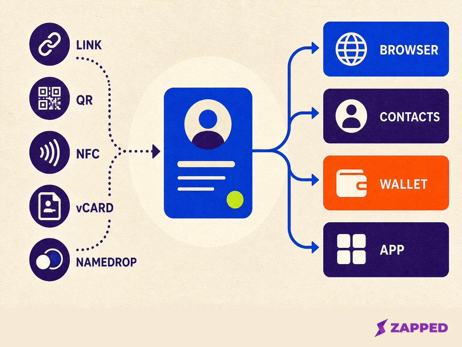 Destination map showing digital business card delivery methods leading to a browser, Contacts, Wallet, or an app