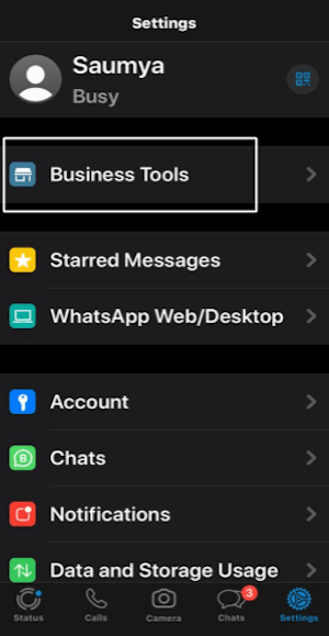 WhatsApp Business iPhone settings screen highlighting Business Tools