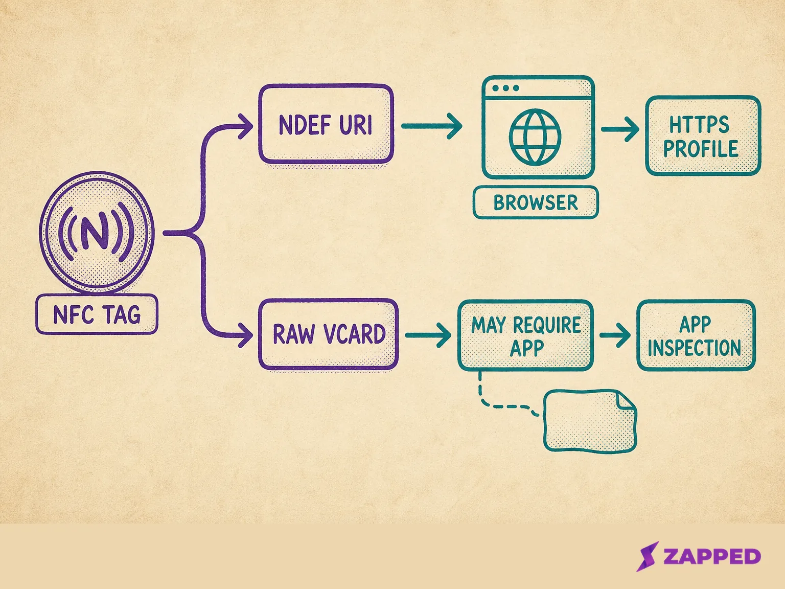 Conceptual NFC payload diagram showing an HTTPS URI path to a browser and a raw vCard path that may require an app