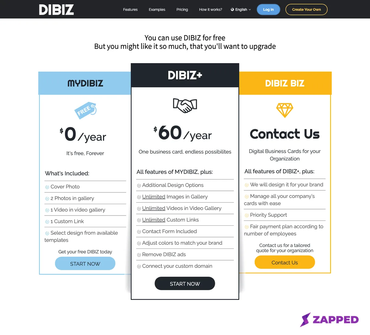 DIBIZ's pricing page showing the MYDIBIZ, DIBIZ+, and DIBIZ BIZ tiers